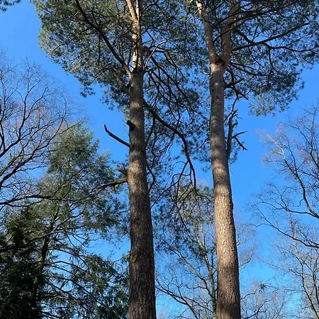 Chalet Rustoord Ontspannen Op De Veluwe *