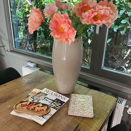 Rustoord Ontspannen Op De Veluwe * Hattemerbroek